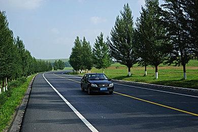 2v2乱斗游戏《鸽子大乱斗》现已推出试玩版